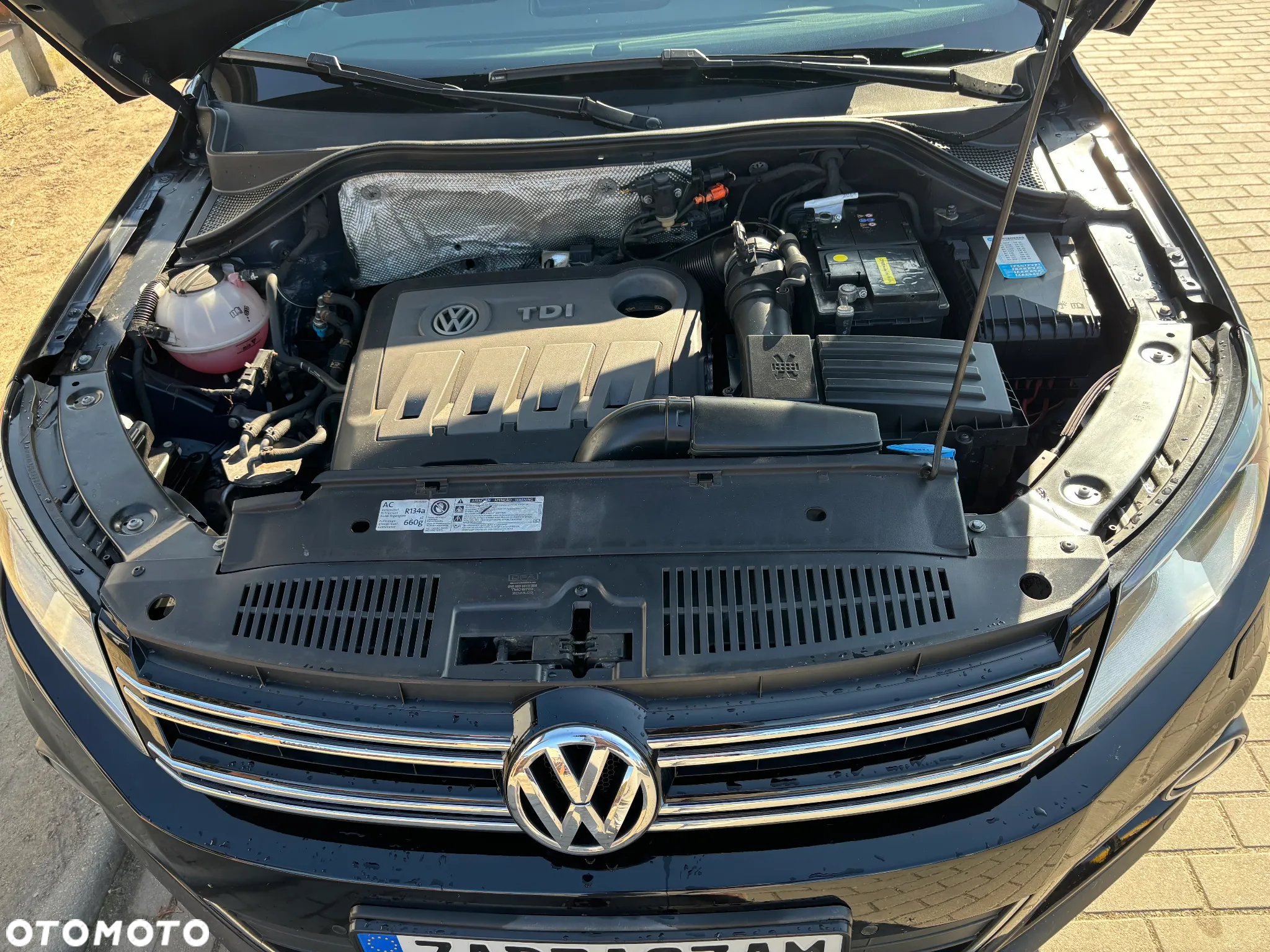 Volkswagen Tiguan 2.0 TDI DPF BlueMotion Technology Freestyle - 23