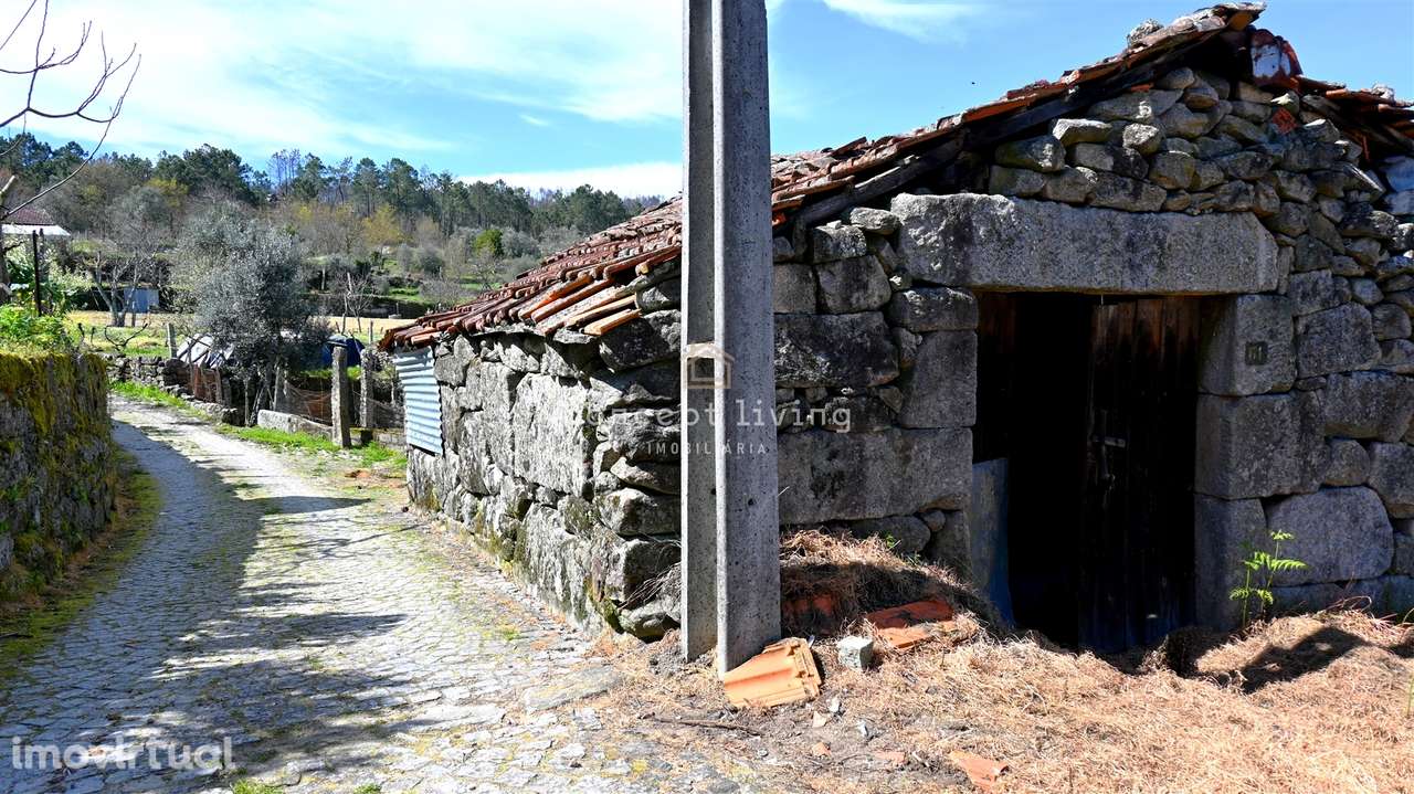 Moradia para Restaurar T2 Venda em Mamouros, Alva e Ribolhos,Castro Da - Grande imagem: 4/5