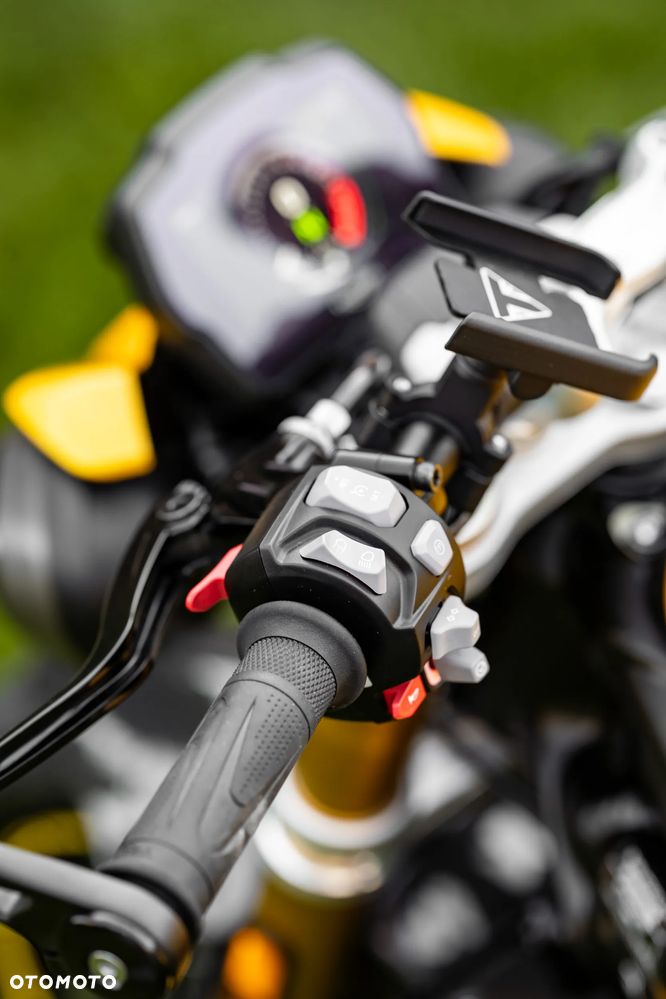 Triumph Speed Triple - 18