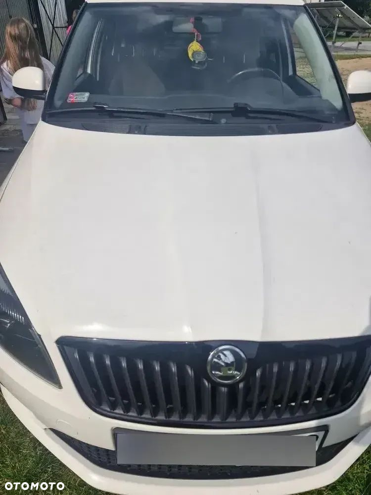 Skoda Fabia - 14