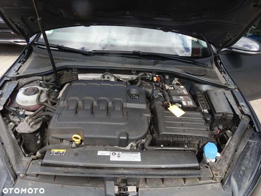 Volkswagen Golf - 21