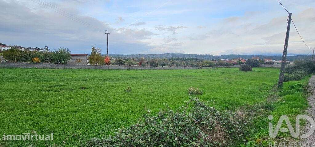 Terreno para construção em São Miguel, Santa Eufémia e Rabaçal - Grande imagem: 5/26