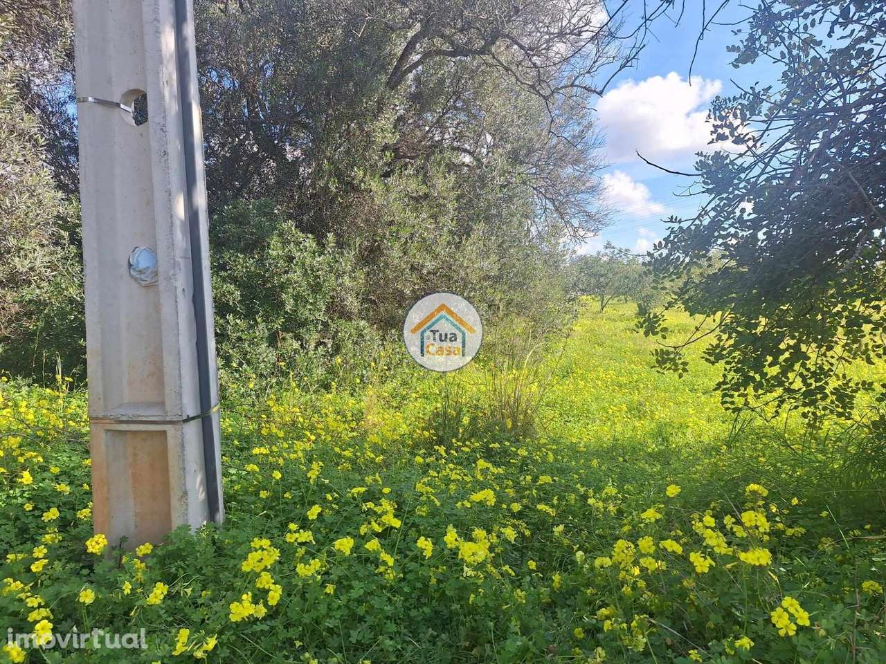 Terreno com armazém no concelho de Faro - Grande imagem: 3/30