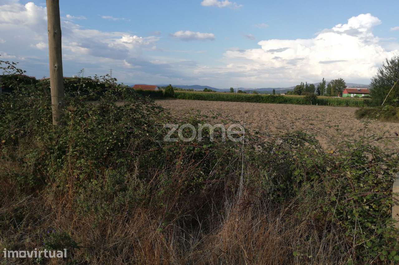 Terreno Rustico em Chaves - Grande imagem: 4/6