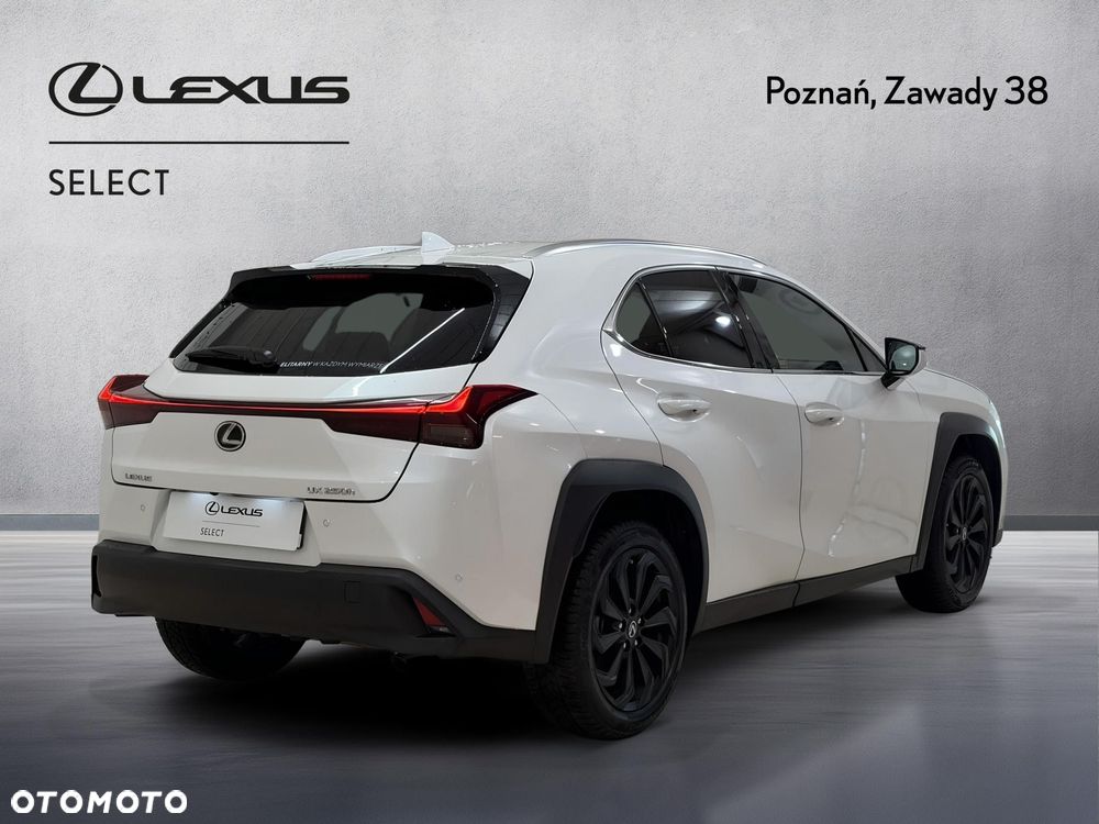 Lexus UX 250h GPF Business 2WD - 2