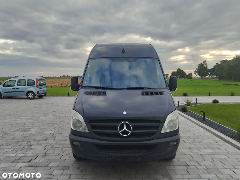 Mercedes-Benz 313d - 10