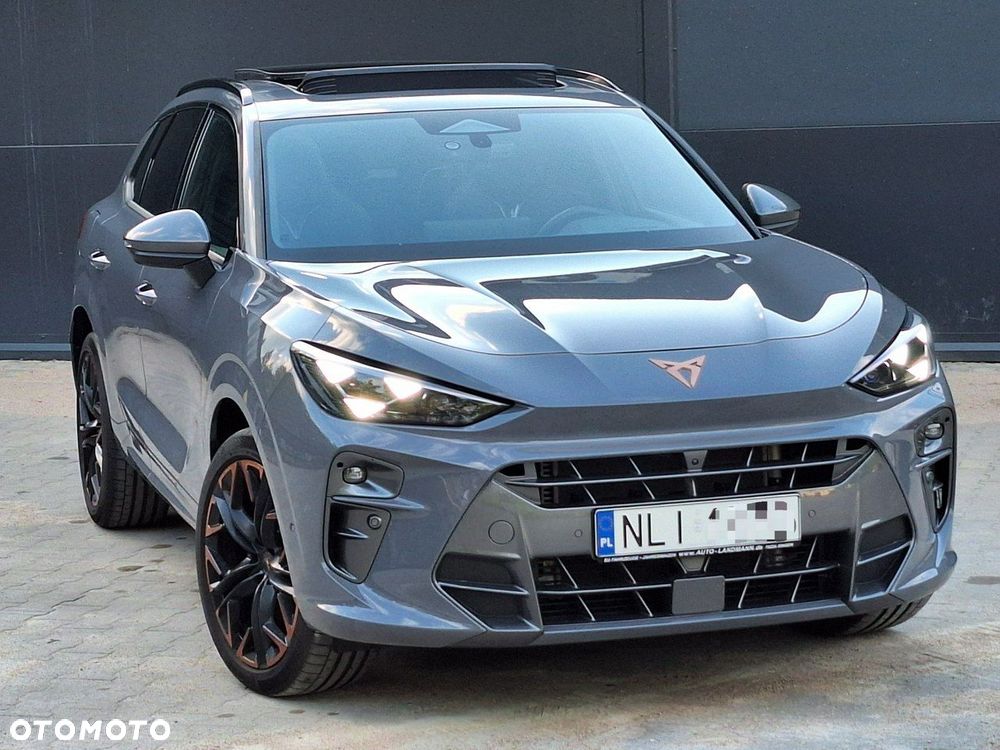 Cupra Terramar - 10
