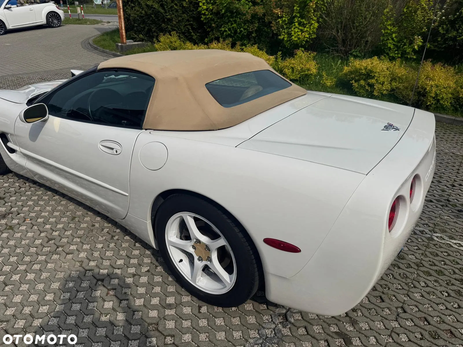 Chevrolet Corvette Convertible 5.7 - 11