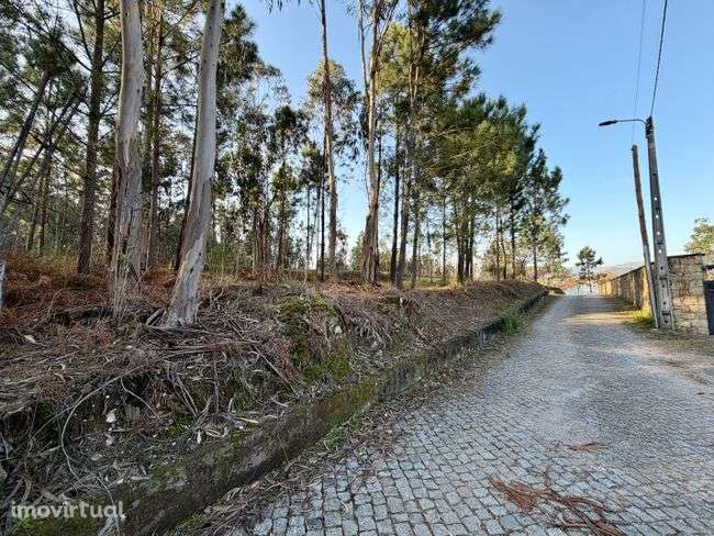 Terreno - Fiscal, Amares - Grande imagem: 2/7