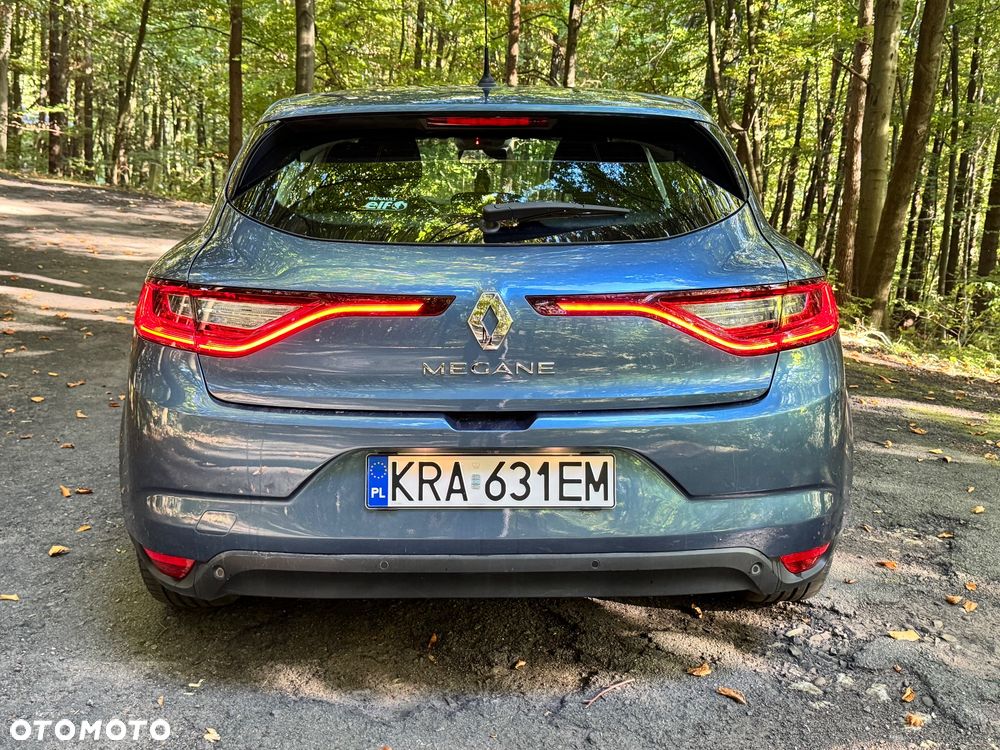 Renault Megane - 18