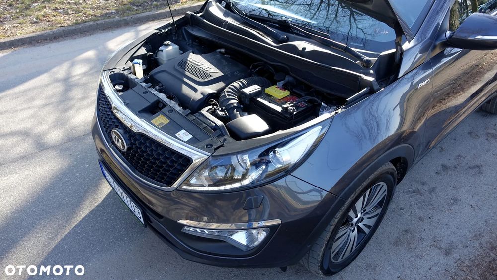 Kia Sportage - 25
