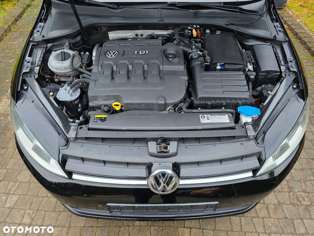 Volkswagen Golf Variant - 22