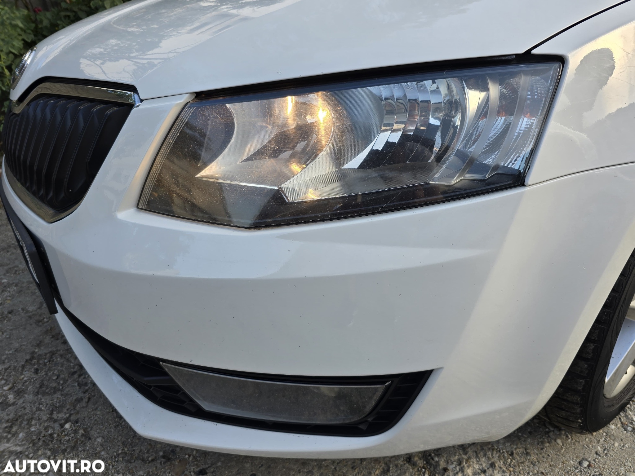 Skoda Octavia 1.6 TDI Ambition - 31