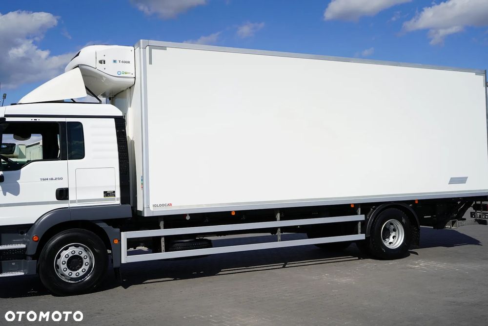 MAN / TGM / 18.250 / EURO 6 / CHŁODNIA + WINDA / ŁAD. 9 010 KG / 19 PALET - 15