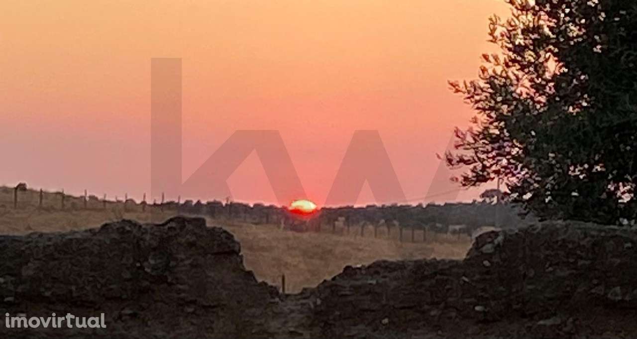 Moradia T3 CASTRO VERDE + Terreno - Grande imagem: 5/60