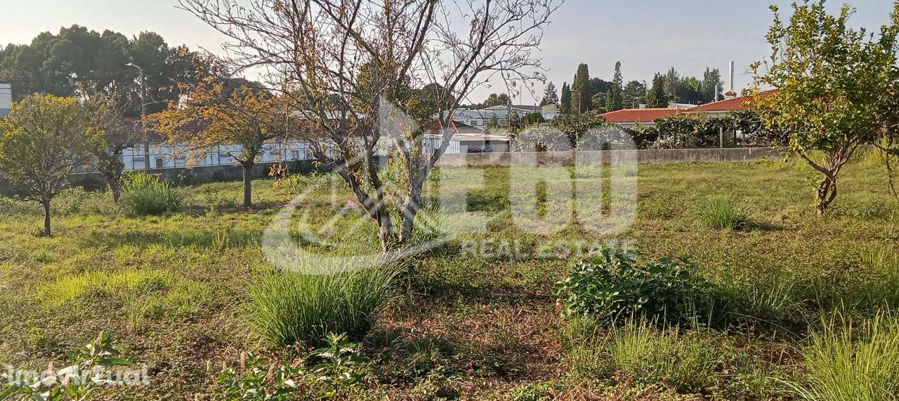 TERRENO PAÇOS BRANDÃO - Grande imagem: 4/8