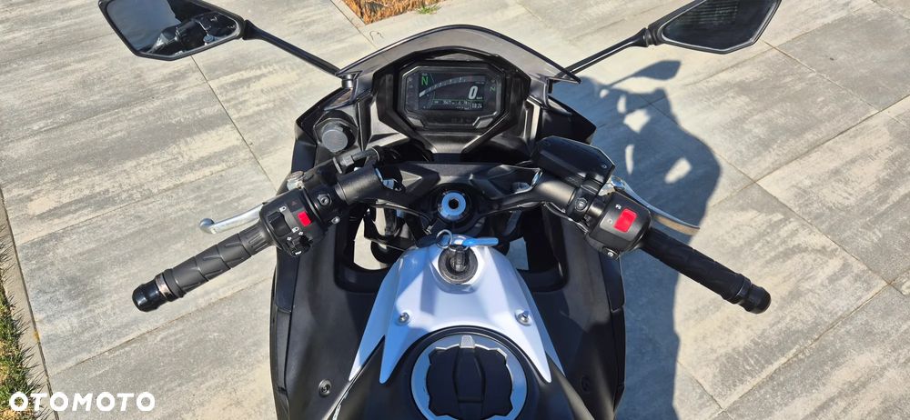 Kawasaki Ninja - 10