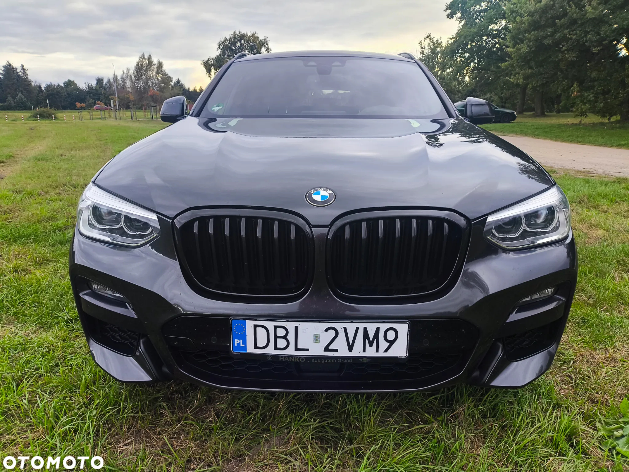 BMW X4 xDrive20d M Sport sport - 8