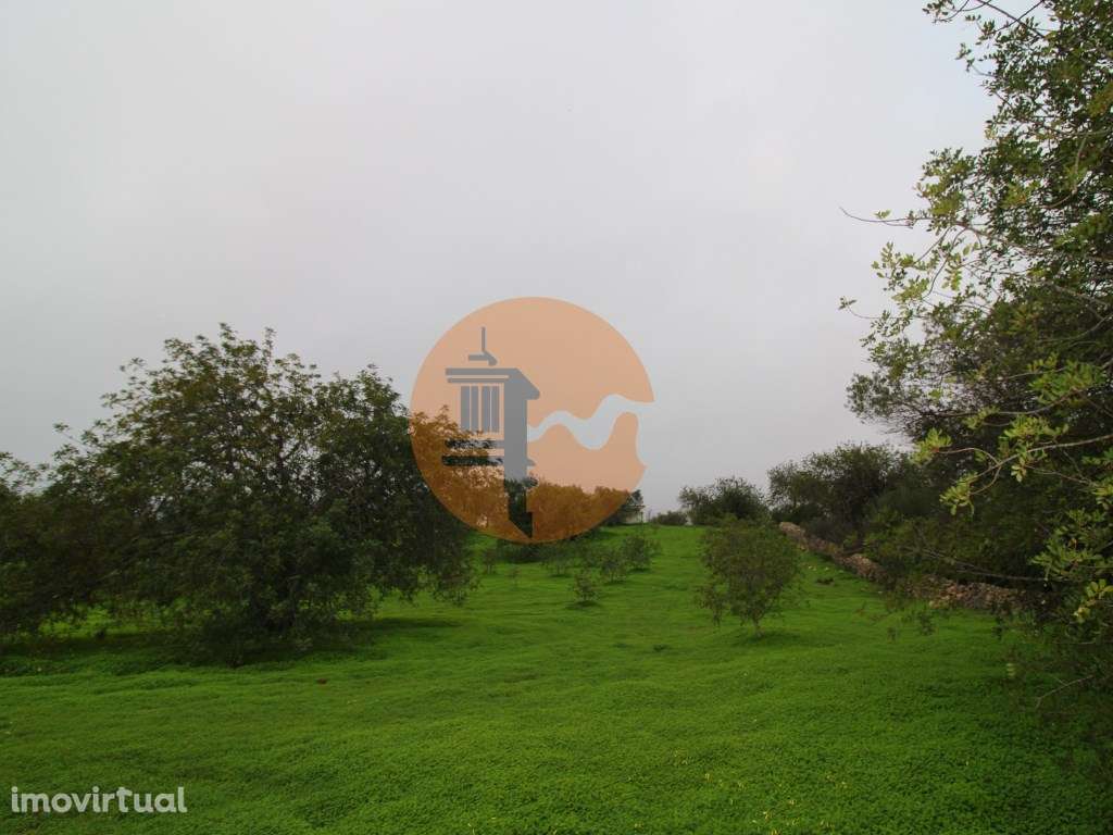 Terreno para turismo rural 5 estrelas com 120 quartos e 240 camas - Grande imagem: 5/22
