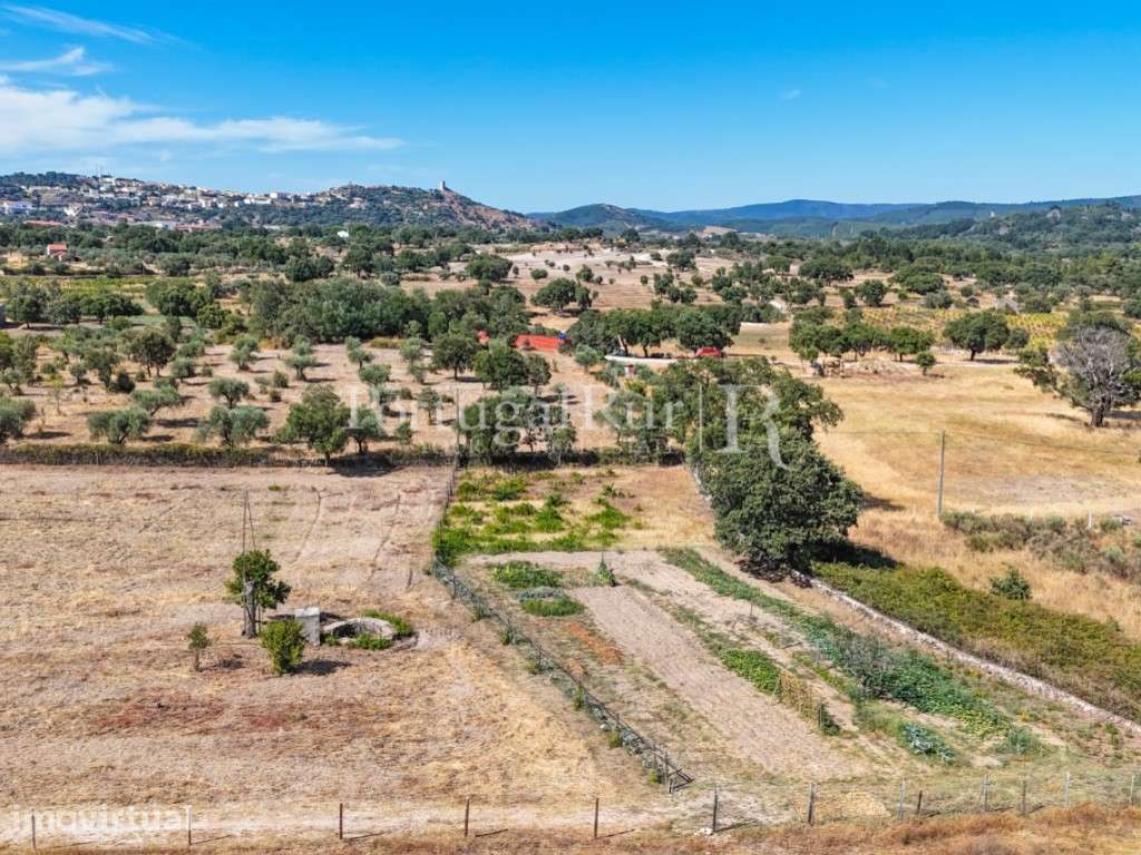 Quinta Equestre com 8 Hectares e Olival Tradicional na Beira Baixa - Grande imagem: 3/60