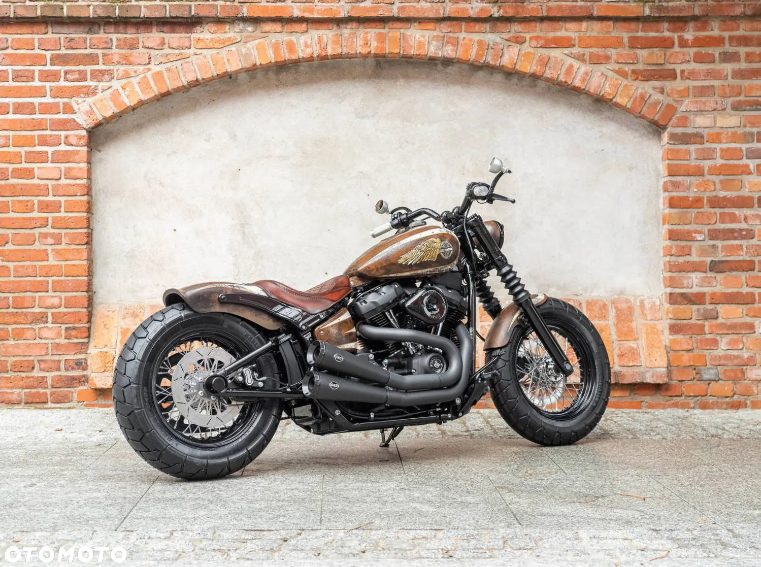 Harley-Davidson Softail - 13