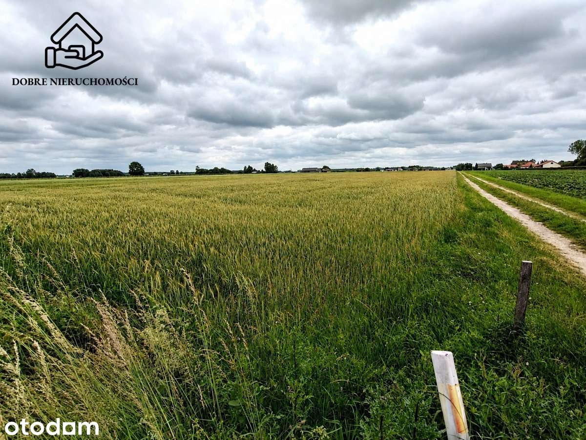 Działka budowlana 32x94 m - Siedliska gm. Kamionka - Pełny obrazek: 2/5