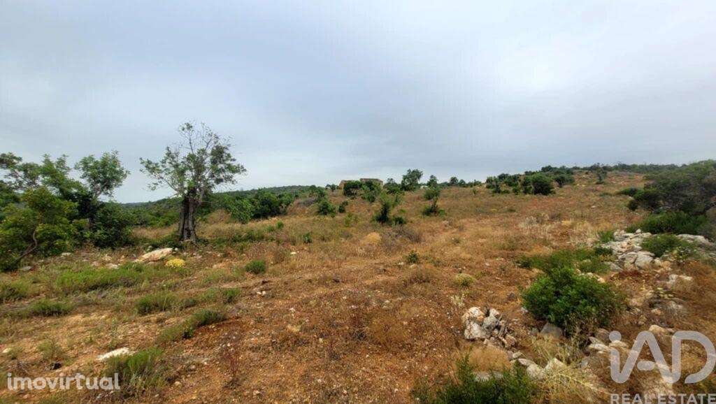 Casa de Campo T2 em Paderne de 118,00 m2 - Grande imagem: 4/5