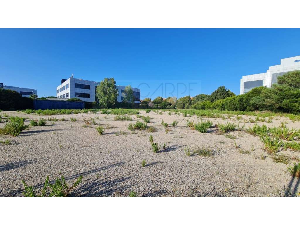 Lote de terreno para construção com 4906m2, na Quinta da Beloura, S... - Grande imagem: 2/56