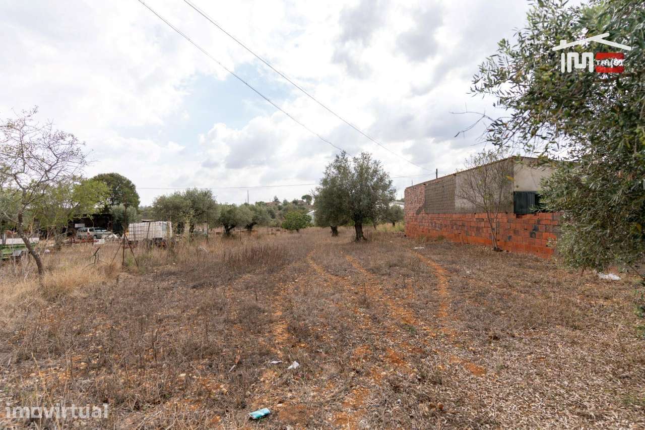 Terreno misto - Excelente Oportunidade de Investimento, com possibi... - Grande imagem: 2/18