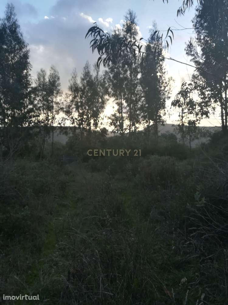 Terreno || Venda - Grande imagem: 3/10