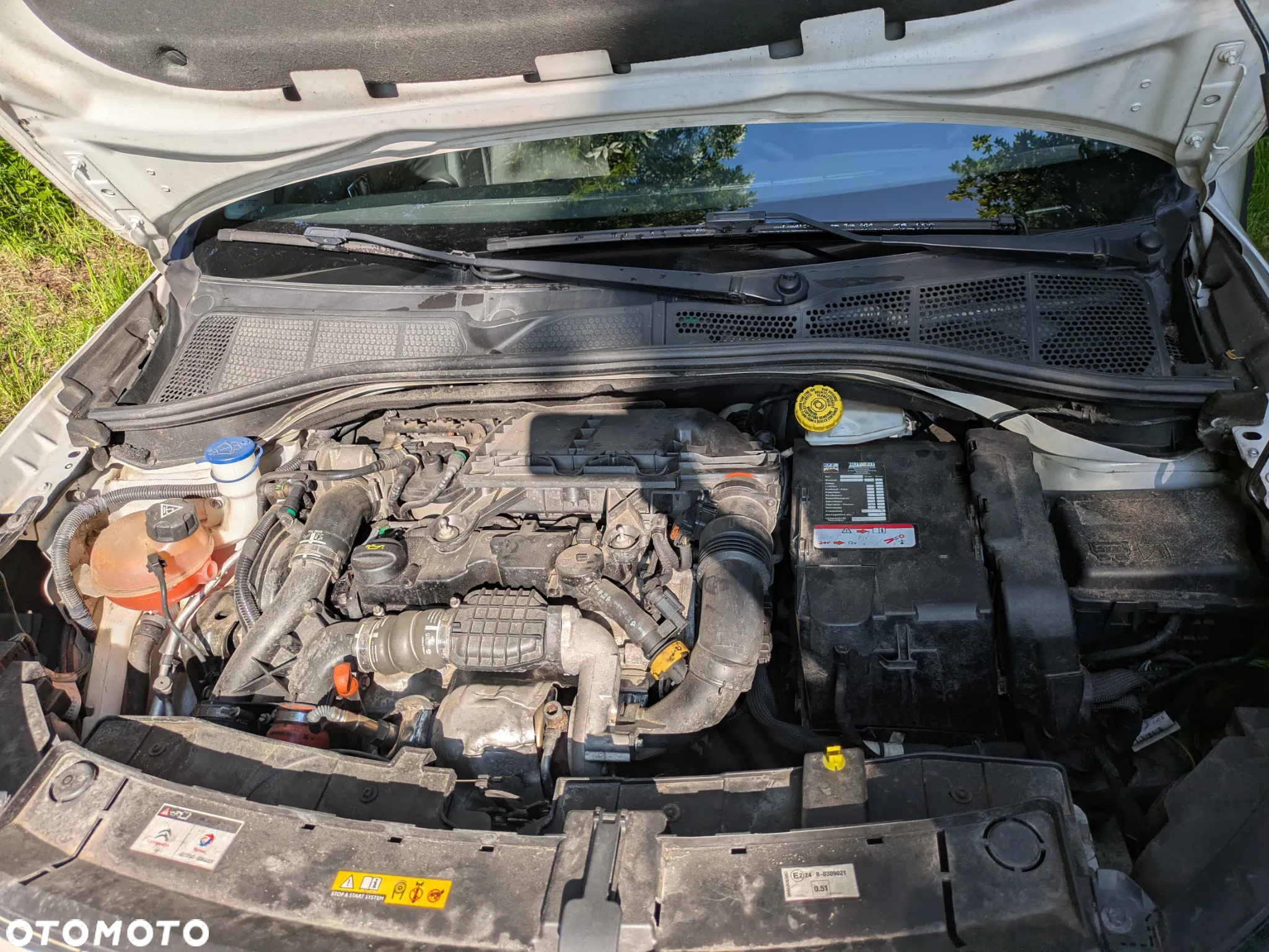 Citroën C4 Cactus 1.6 e-HDi Shine ETG - 18