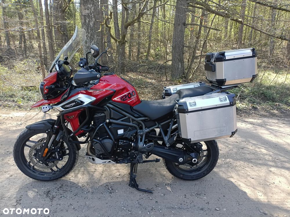 Triumph Tiger - 2