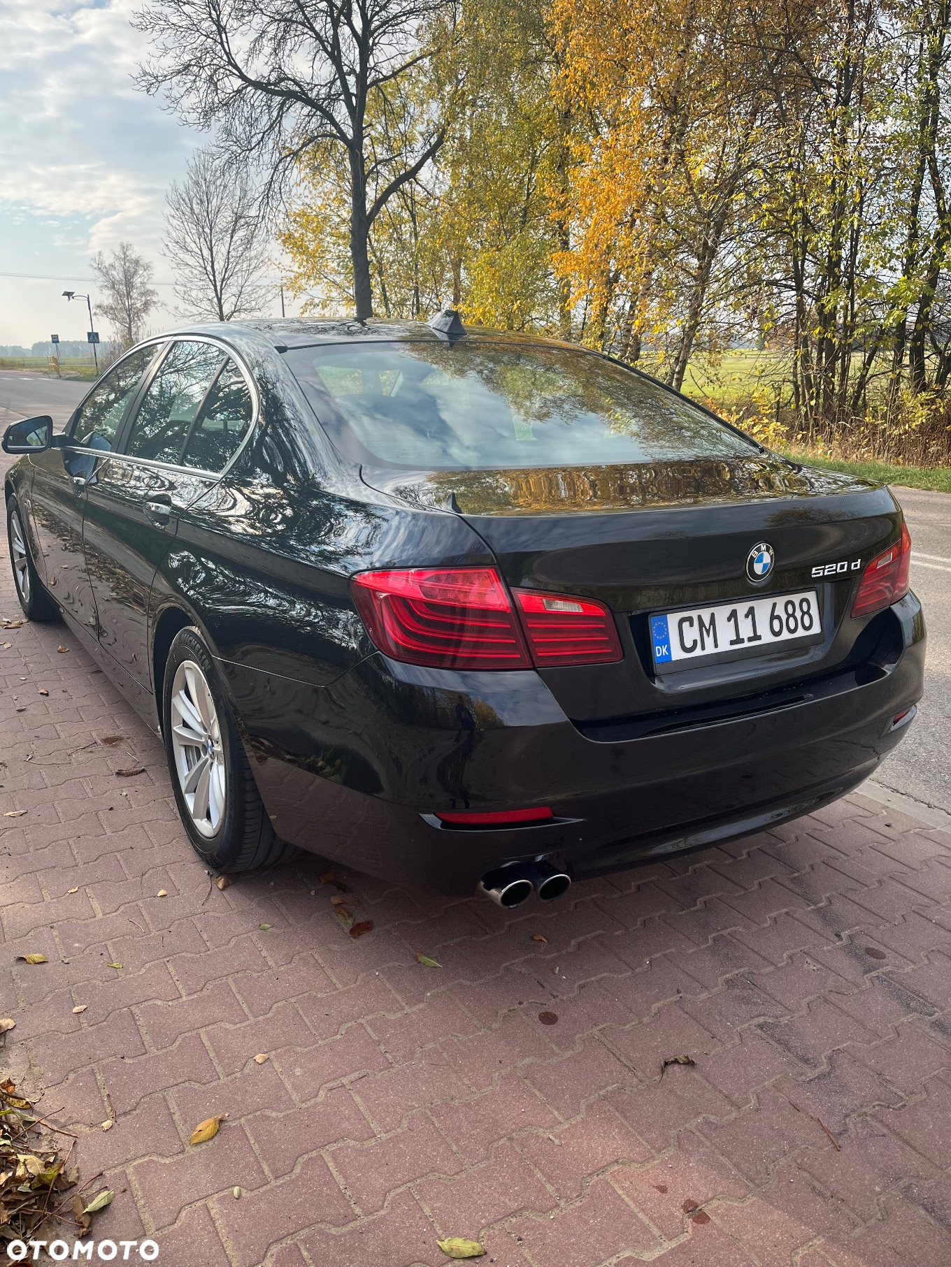 BMW Seria 5 520d Luxury Line - 4