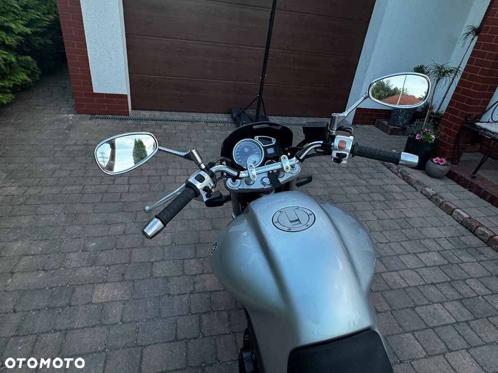 Yamaha Bulldog - 2