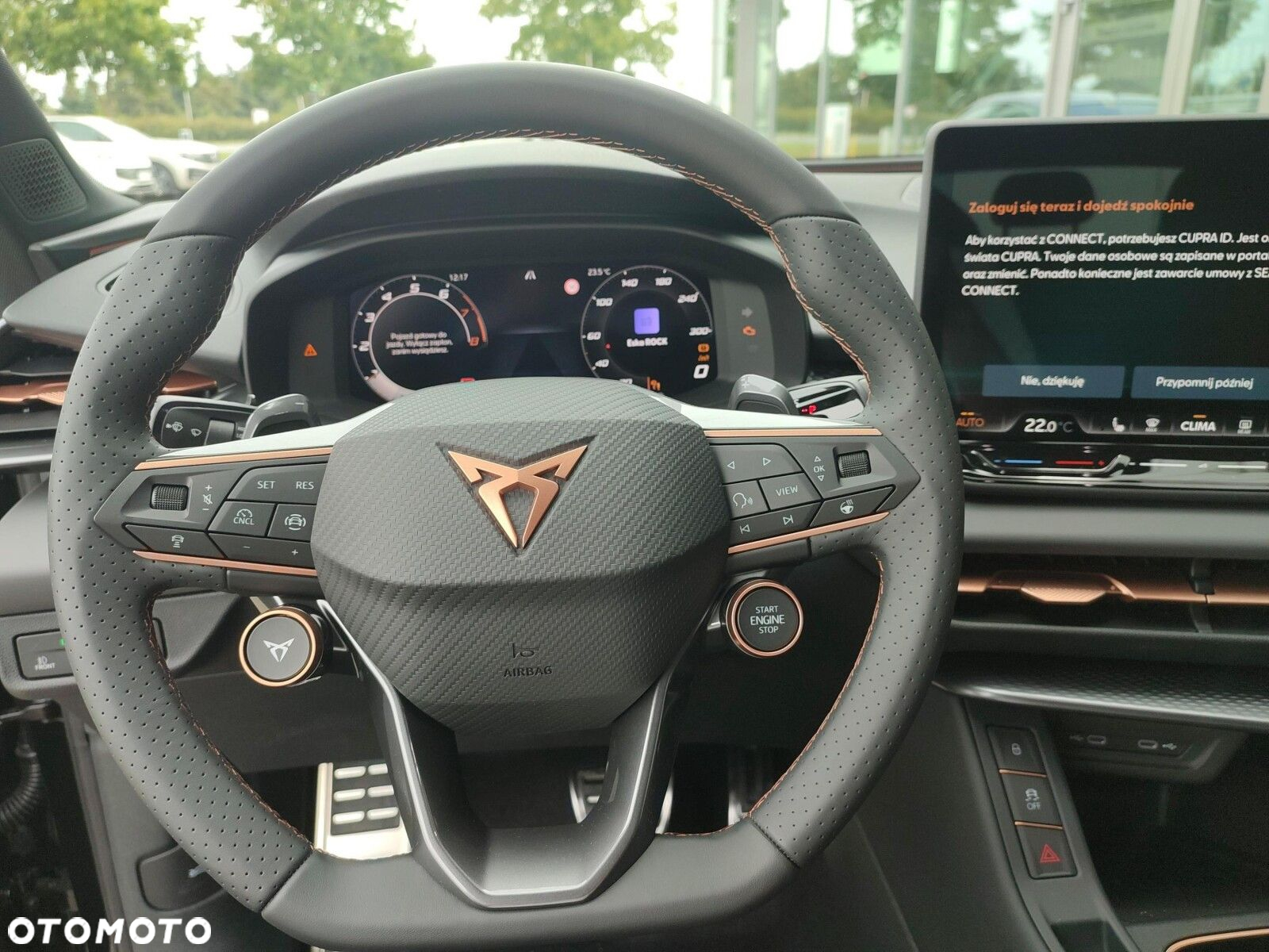Cupra Terramar - 13