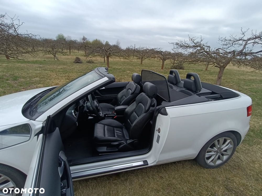 Audi A3 Cabrio 1.6 TDI DPF Attraction - 13