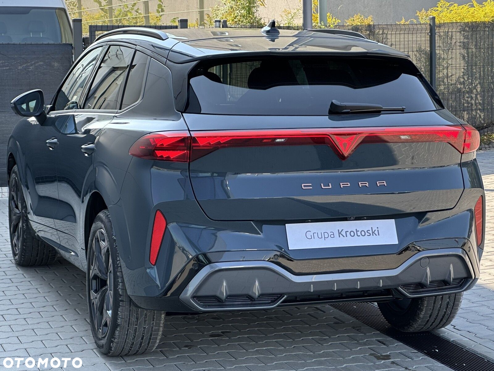 Cupra Terramar - 7