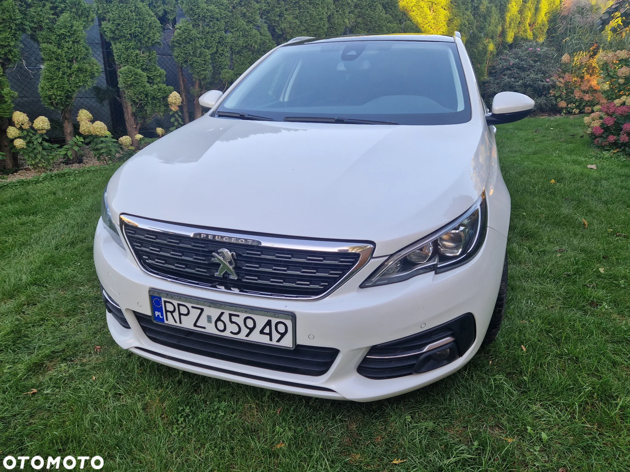Peugeot 308 SW BlueHDi 120 Stop & Start Active - 29