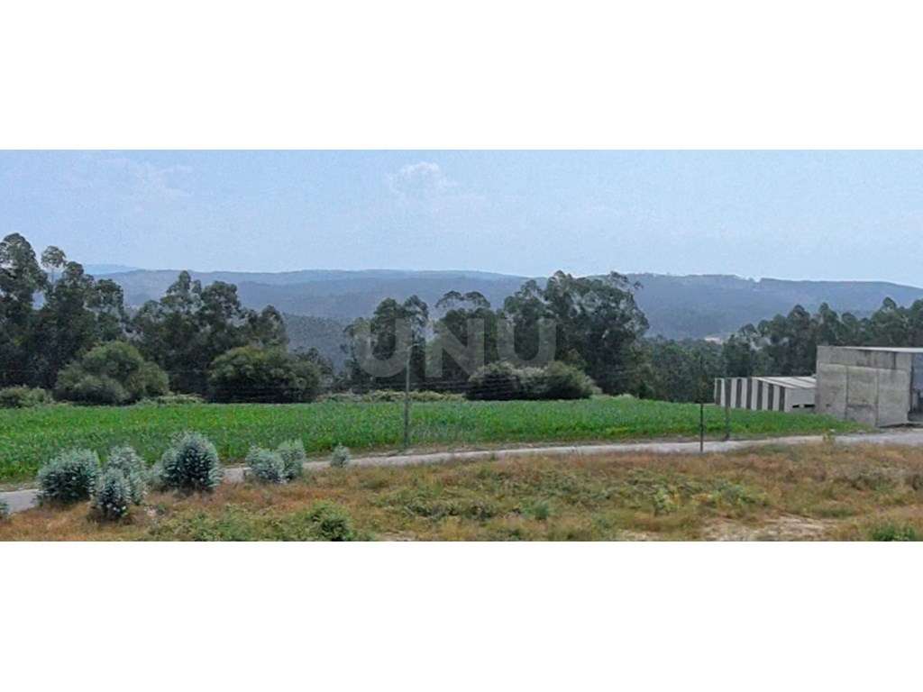 Terreno em zona industrial, com 10 765m² à venda em Covelas, Trofa,... - Grande imagem: 4/4