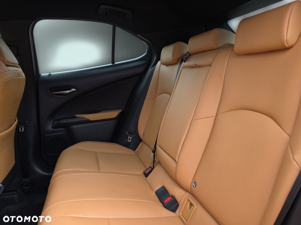 Lexus UX 300h F Sport Design - 20