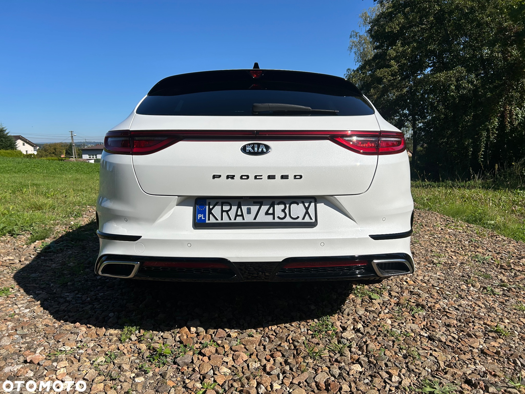 Kia ProCeed 1.6 CRDi DCT7 SCR GT LINE - 5