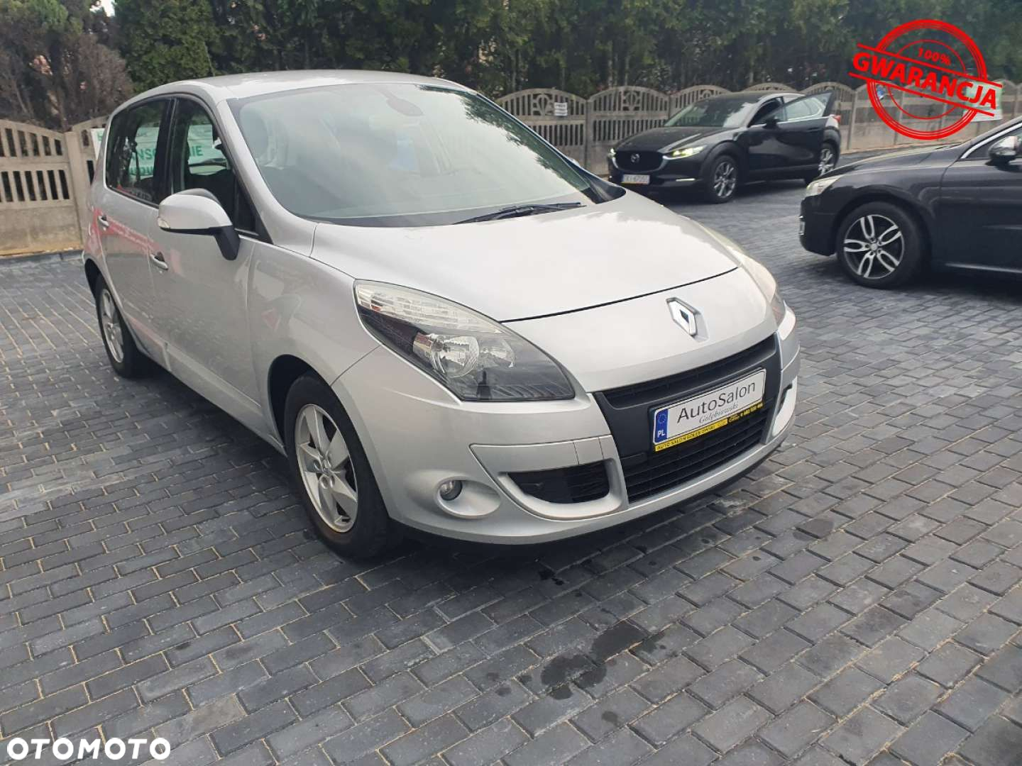 Renault Scenic - 16