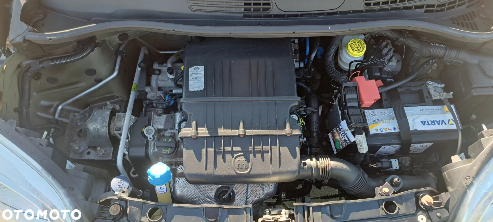 Fiat Panda - 26