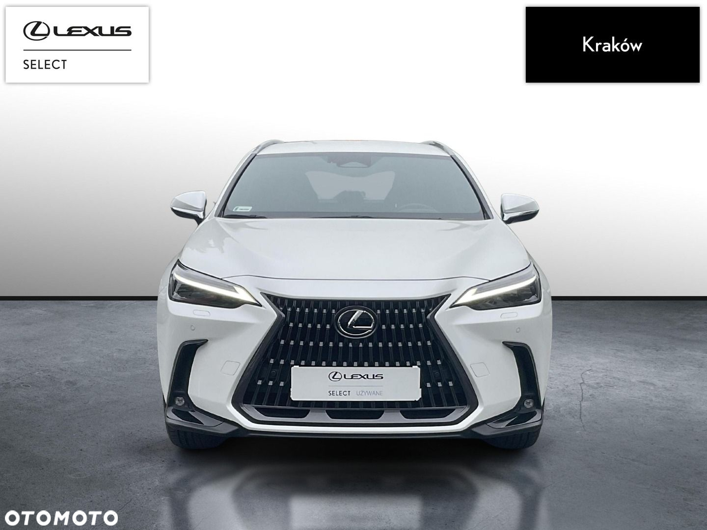Lexus NX - 8