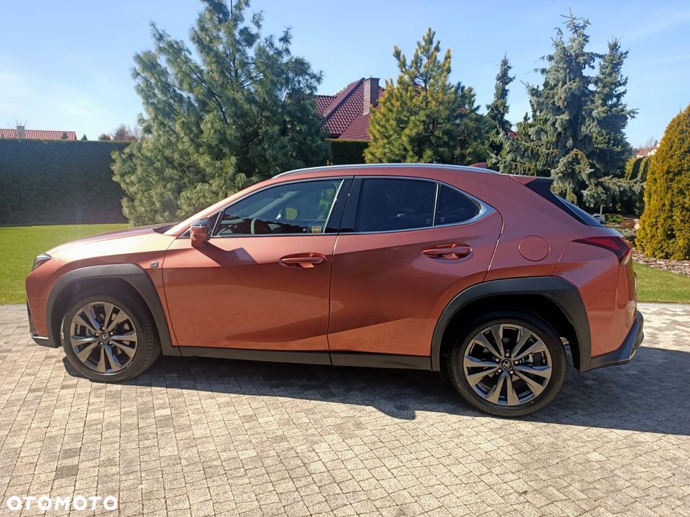 Lexus UX 300h F Sport Design - 7