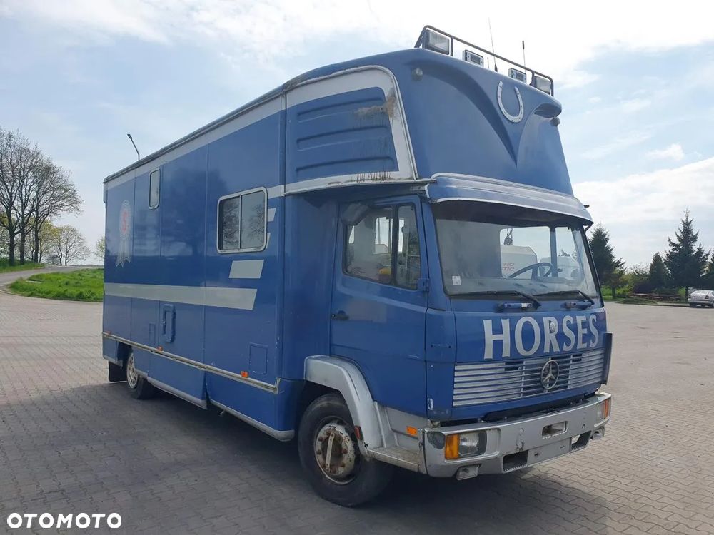 Mercedes-Benz MERCEDES BENZ 1117 L (KONIOWÓZ) - 3