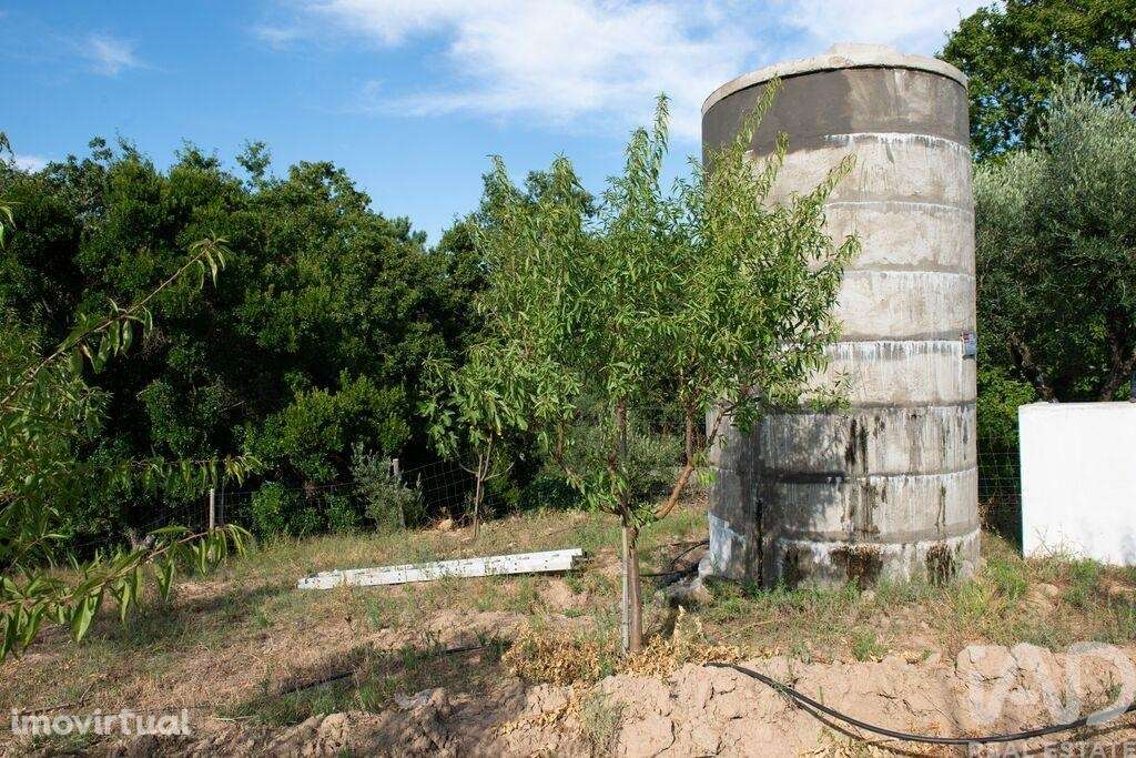 Terreno em Lamas - Grande imagem: 5/30