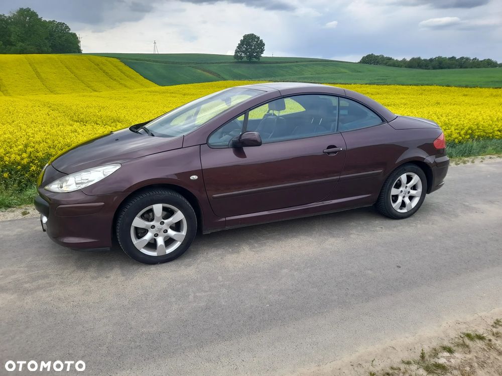 Peugeot 307 CC - 7
