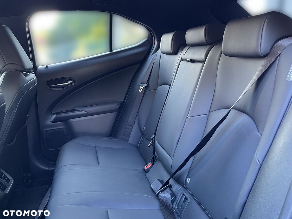 Lexus UX 250h GPF F Sport Design 2WD - 6