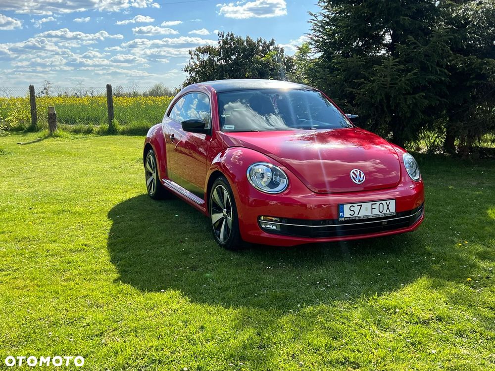 Volkswagen Beetle - 5
